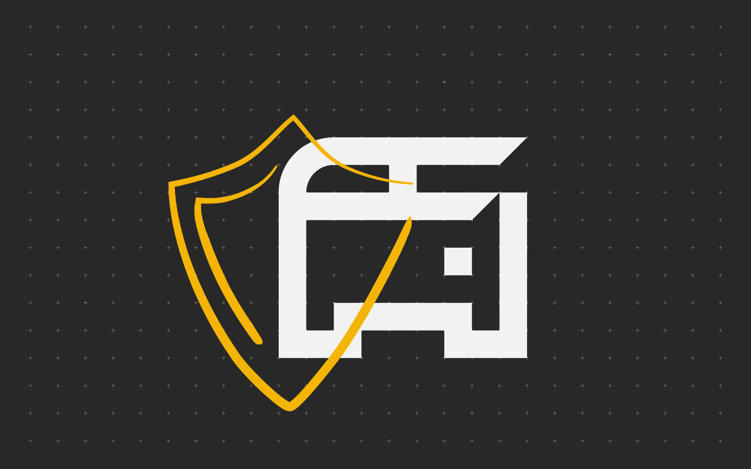 NetGard Lock